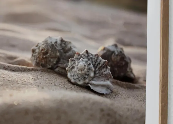 Ruhrpottimmo - Zentrale In - Bis Zu 7 Pers